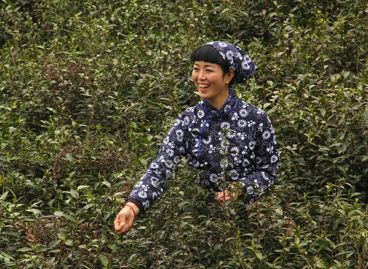 悬疑推理
